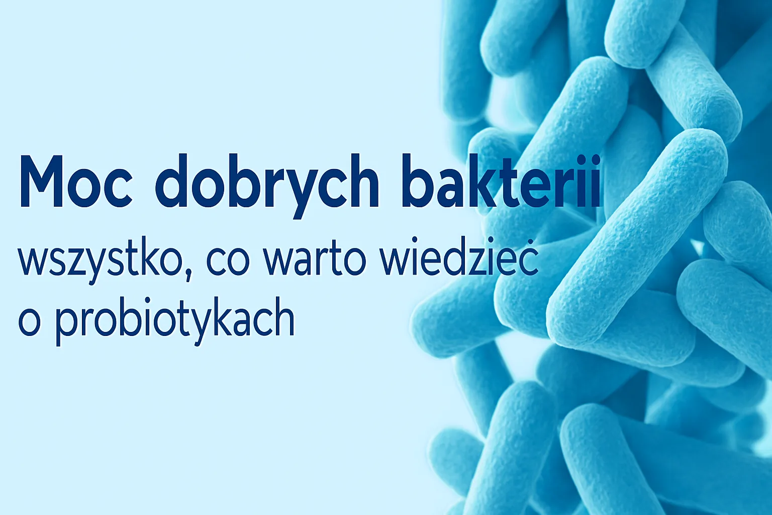 Żywe kultury bakterii, mikrobiota i suplementy diety. Co warto wiedzieć?