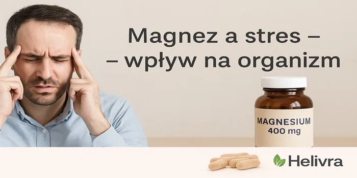Magnez a stres