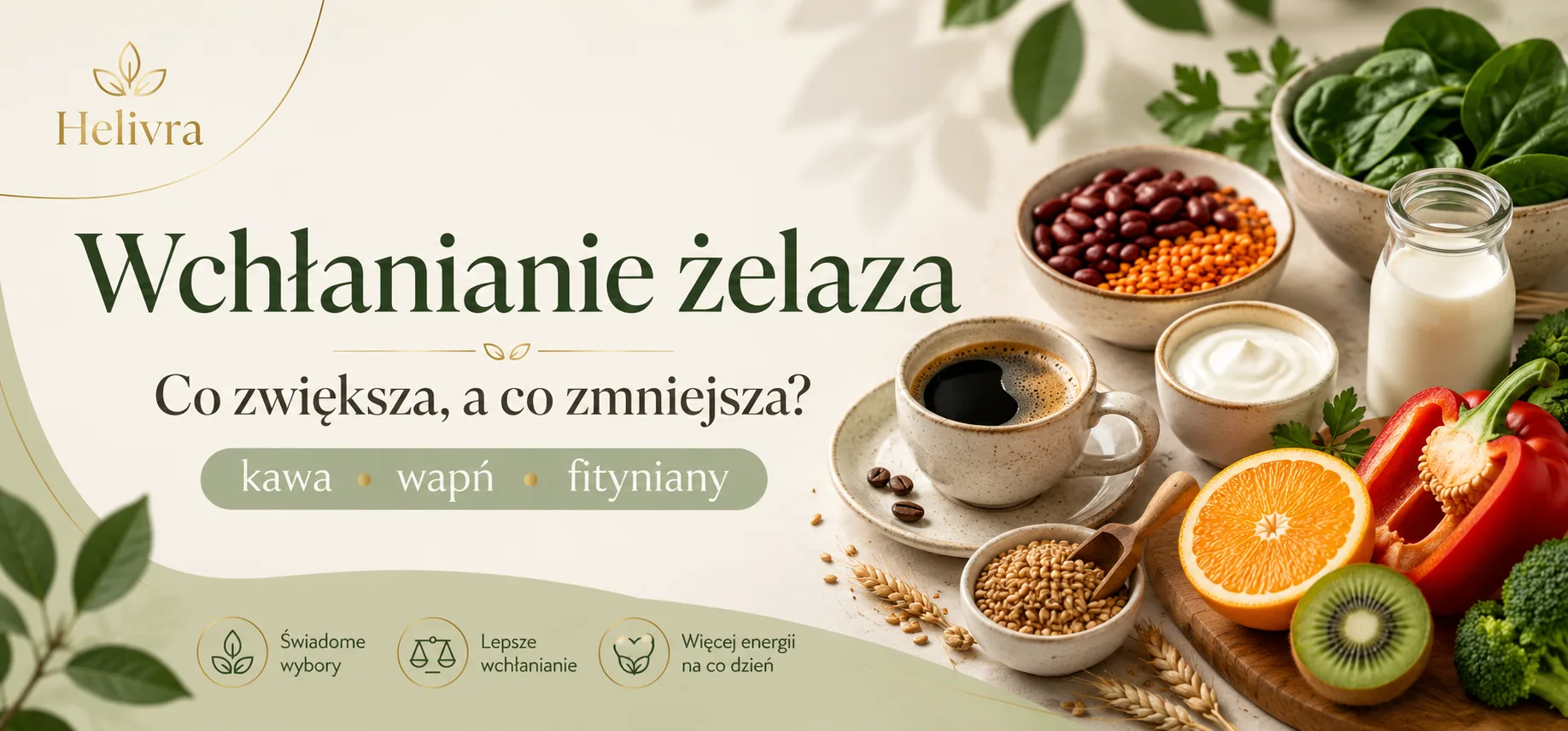 Wchłanianie żelaza: co je zwiększa, a co zmniejsza (kawa, wapń, fityniany)